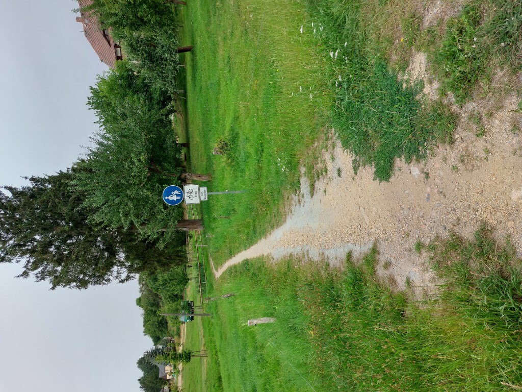 schmaler Wiesenweg im Nebennetz einer Staatsstraße welcher zum Radweg ertüchtigt werden könnte