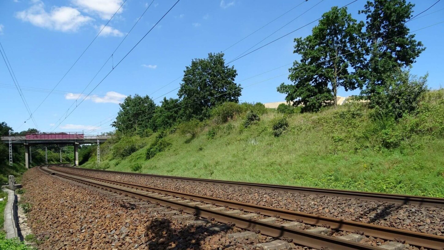 Bahntrasse nach der Umweltplanung